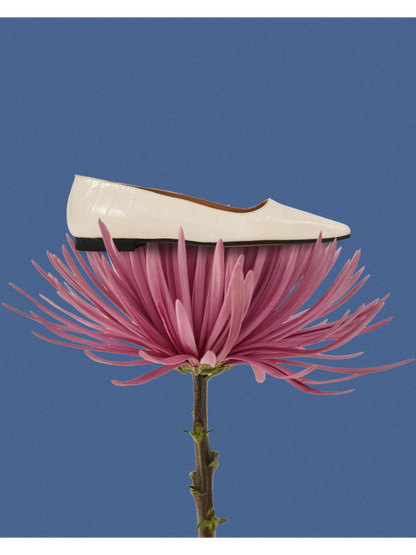 Cara Rosa | Ballerina Croco Cream